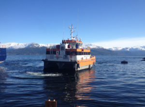 Image of World Mistral